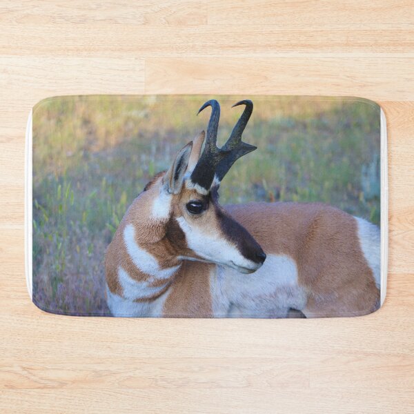 Item preview, Splendid Pronghorn designed and sold by simonjayphotos.