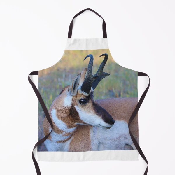 Item preview, Splendid Pronghorn designed and sold by simonjayphotos.
