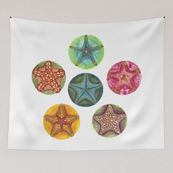 Item preview, 6 Starfish designed and sold by Isabel Cayer.