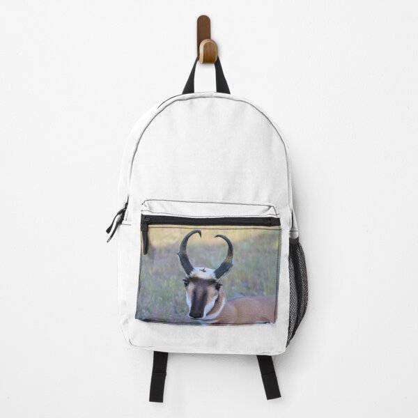 Item preview, Lovely Pronghorn designed and sold by simonjayphotos.