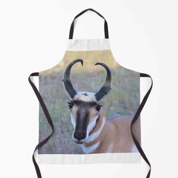 Item preview, Lovely Pronghorn designed and sold by simonjayphotos.