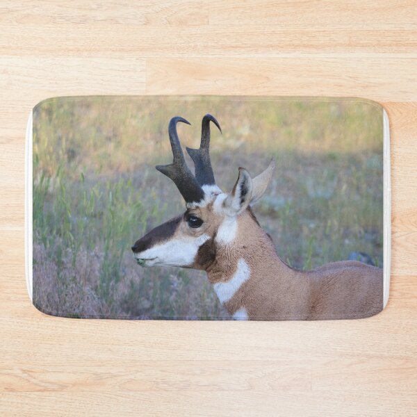 Item preview, Handsome Pronghorn  designed and sold by simonjayphotos.