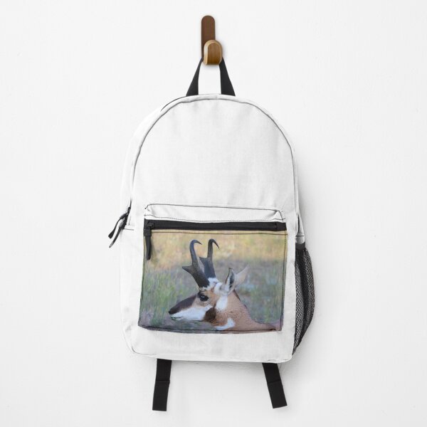 Item preview, Handsome Pronghorn  designed and sold by simonjayphotos.