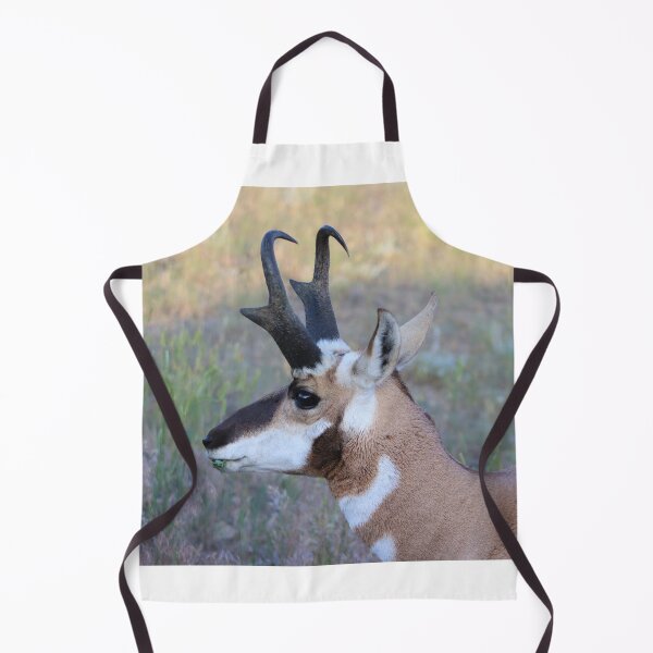 Item preview, Handsome Pronghorn  designed and sold by simonjayphotos.