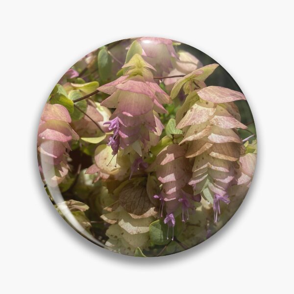 Item preview, Round Leaved Oregano  designed and sold by EmmelineKlatt.