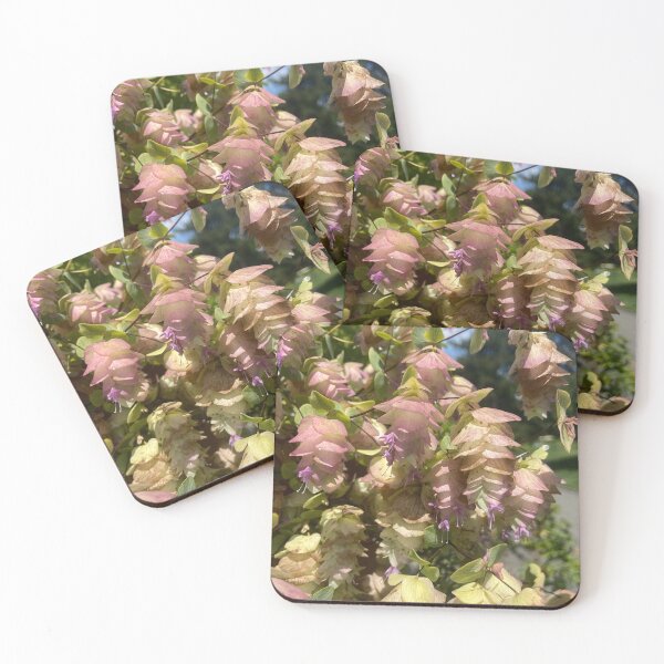 Item preview, Round Leaved Oregano  designed and sold by EmmelineKlatt.