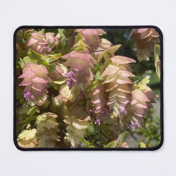 Item preview, Round Leaved Oregano designed and sold by EmmelineKlatt.