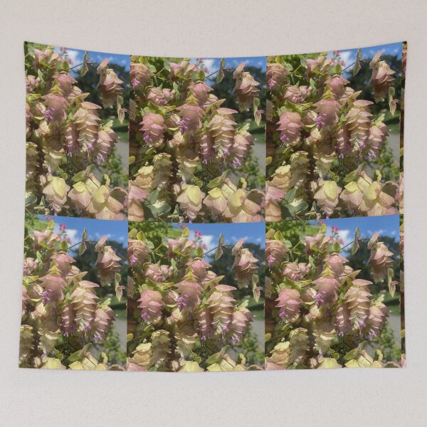 Item preview, Round Leaved Oregano  designed and sold by EmmelineKlatt.