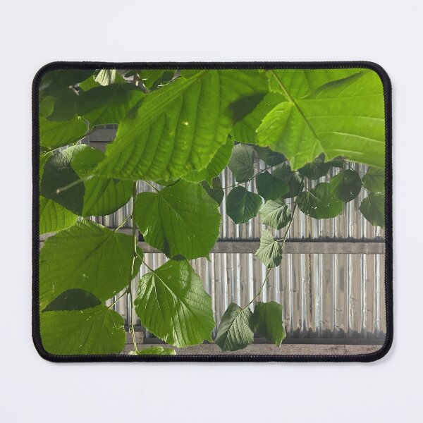 Item preview, Sapling in Scaffolding  designed and sold by EmmelineKlatt.