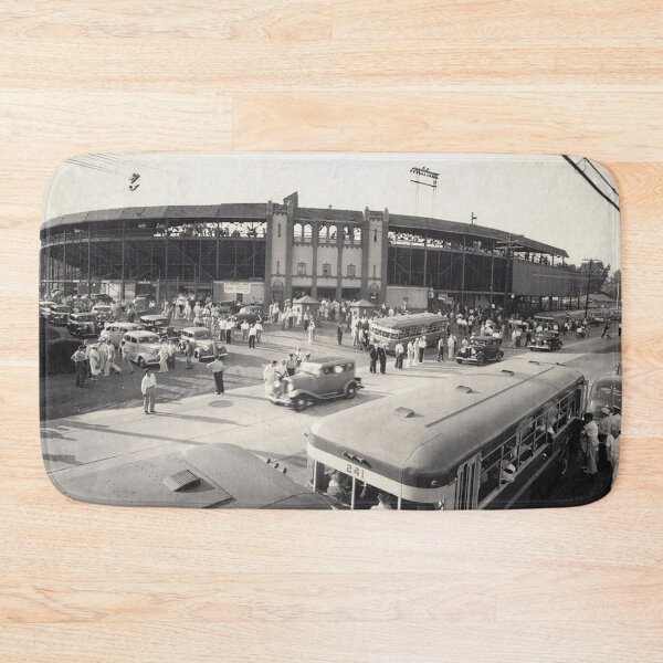 Item preview, Hawkins Stadium, Albany Baseball Stadium, Old Ballparks, Old Stadiums,  designed and sold by Nostrathomas66.
