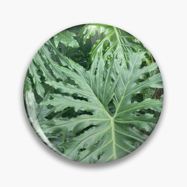 Item preview, Tree Philodendron  designed and sold by EmmelineKlatt.