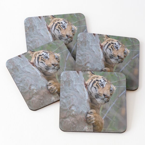 Item preview, Tiger of India designed and sold by Captive-Moment.