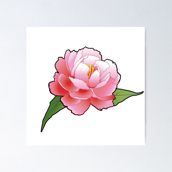 Pink Peony Poster