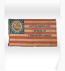 Ironic Vintage American Flag Poster