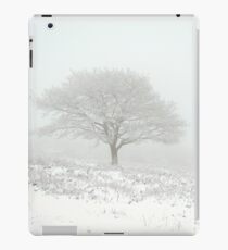 It's Freezing iPad Case/Skin