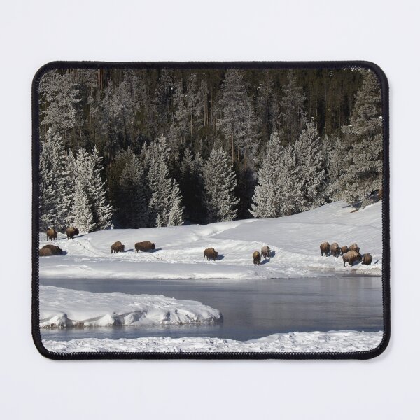 Item preview, Bison on the Madison River. Yellowstone designed and sold by Gilby-Designs.