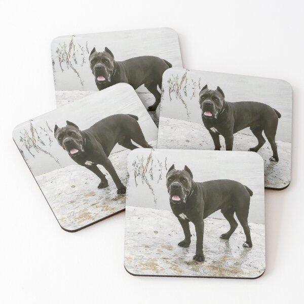Item preview, a big dog on the edge of the river, scares passers-by cane corso  designed and sold by BS-animals.