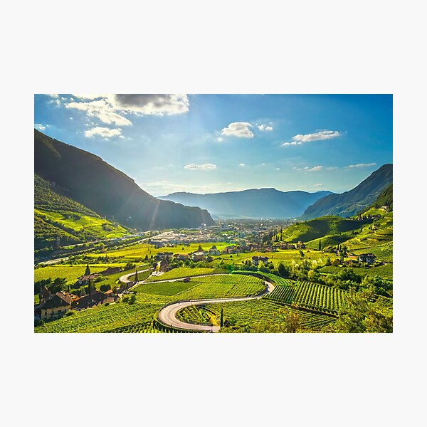 Item preview, Vineyards view in Santa Maddalena Bolzano. South Tyrol, Italy designed and sold by Stefano Orazzini.