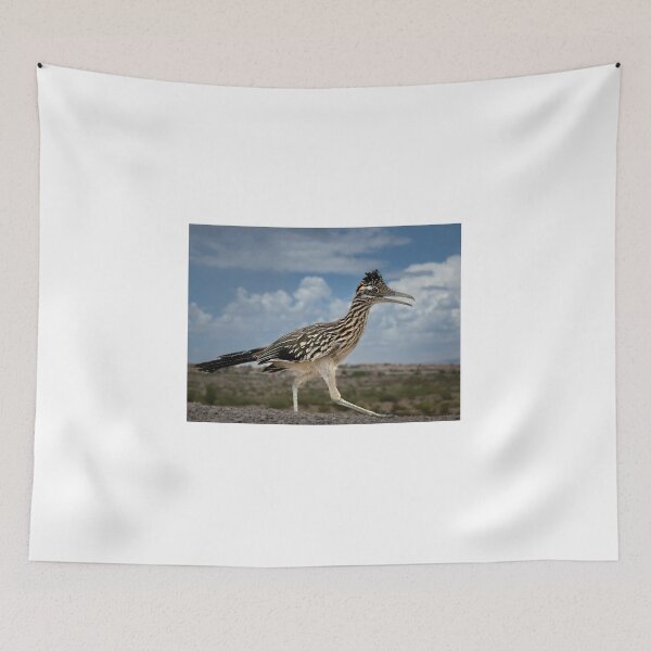 Item preview, Road Runner designed and sold by MelvinStone.