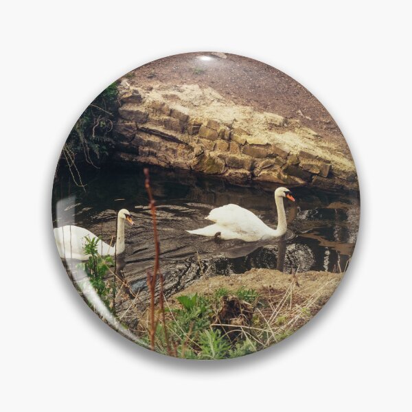 Item preview, Irish swans having an evening swim designed and sold by MoogieAndSons.