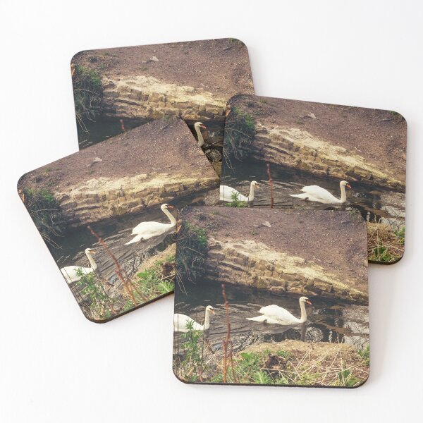 Item preview, Irish swans having an evening swim designed and sold by MoogieAndSons.