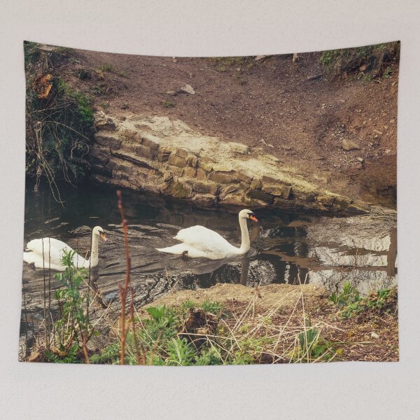 Item preview, Irish swans having an evening swim designed and sold by MoogieAndSons.