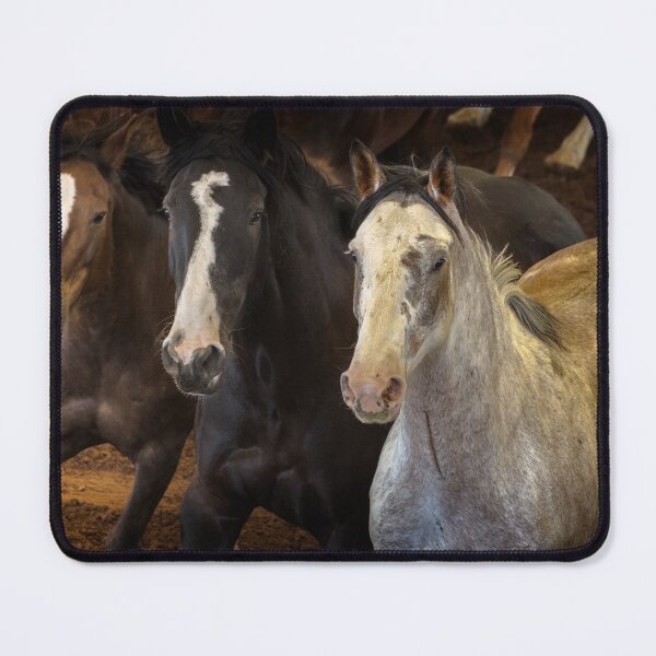 Item preview, Indomitos (wild horses) designed and sold by MelvinStone.