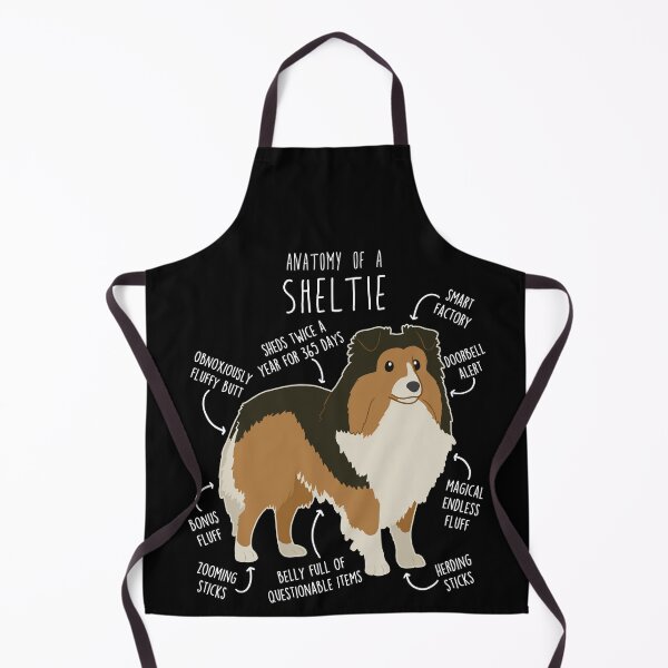 Item preview, Sheltie Shetland Sheepdog Anatomy designed and sold by Clara Hollins.