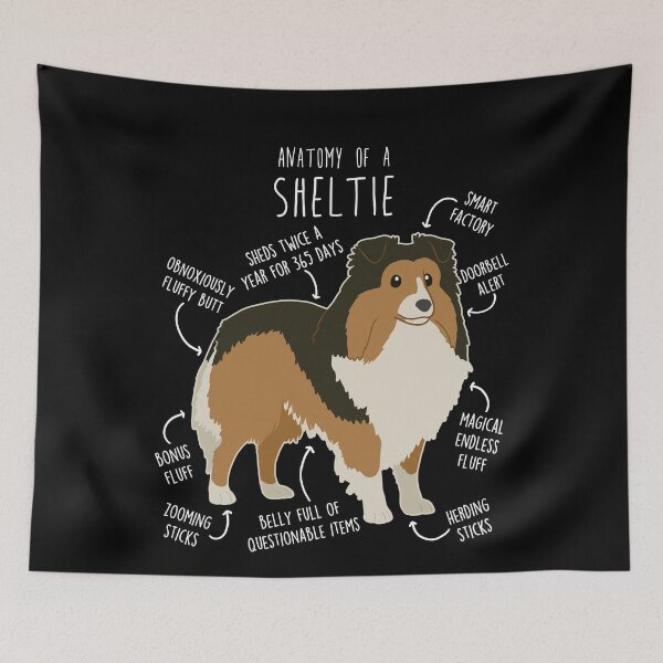 Item preview, Sheltie Shetland Sheepdog Anatomy designed and sold by Clara Hollins.