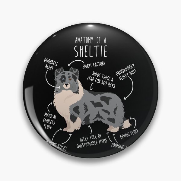 Item preview, Bi Blue Sheltie Shetland Sheepdog Anatomy designed and sold by Clara Hollins.