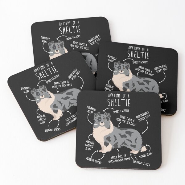 Item preview, Bi Blue Sheltie Shetland Sheepdog Anatomy designed and sold by Clara Hollins.