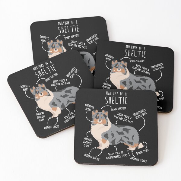Item preview, Blue Merle Sheltie Shetland Sheepdog Anatomy designed and sold by Clara Hollins.
