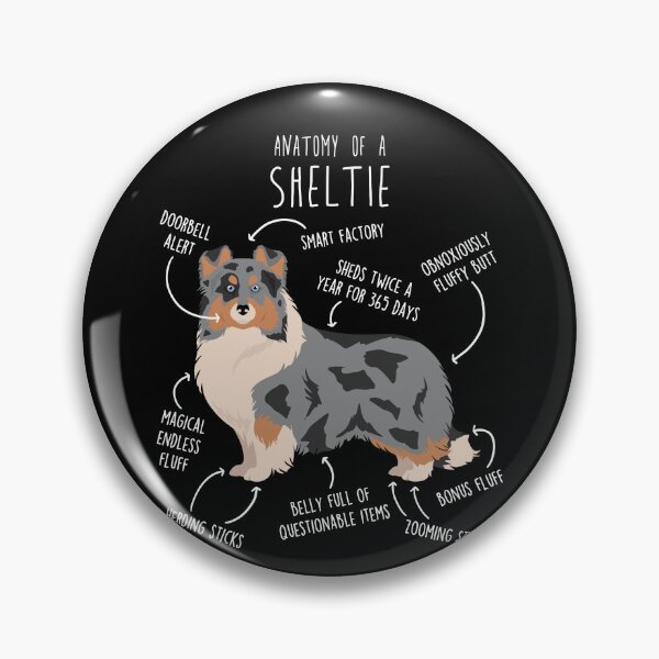 Item preview, Blue Merle Sheltie Shetland Sheepdog Anatomy designed and sold by Clara Hollins.