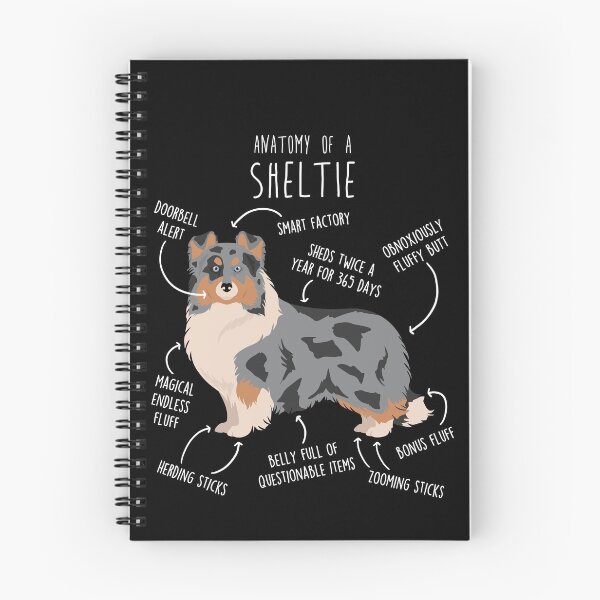 Item preview, Blue Merle Sheltie Shetland Sheepdog Anatomy designed and sold by Clara Hollins.