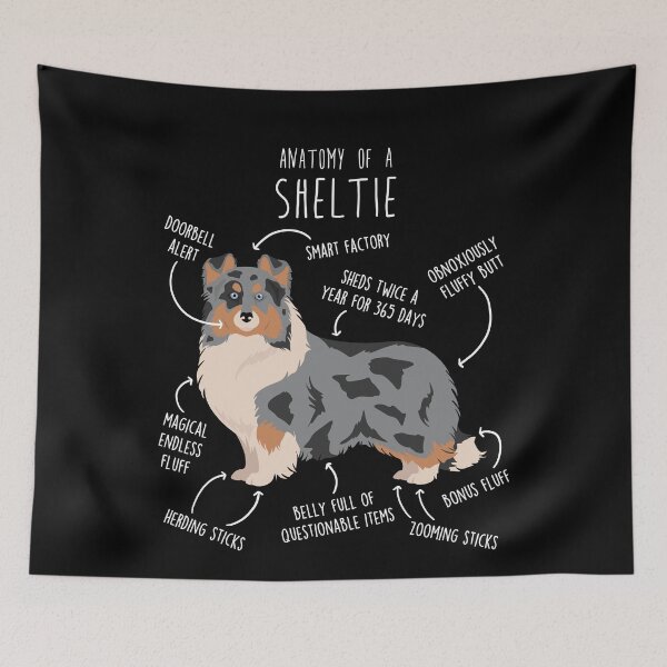 Item preview, Blue Merle Sheltie Shetland Sheepdog Anatomy designed and sold by Clara Hollins.