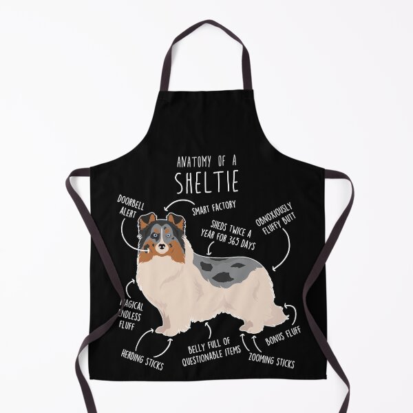 Item preview, Blue Merle Sheltie Shetland Sheepdog Anatomy designed and sold by Clara Hollins.