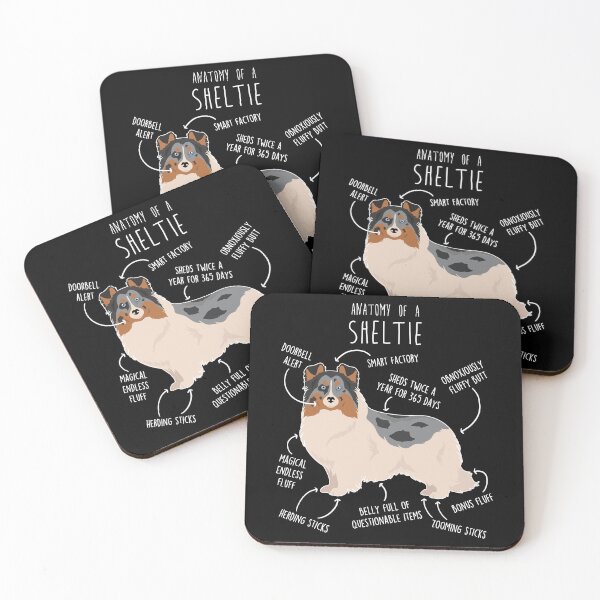 Item preview, Blue Merle Sheltie Shetland Sheepdog Anatomy designed and sold by Clara Hollins.