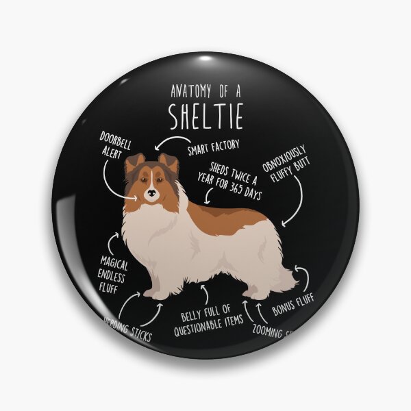 Item preview, Color Headed White Sheltie Shetland Sheepdog Anatomy designed and sold by Clara Hollins.