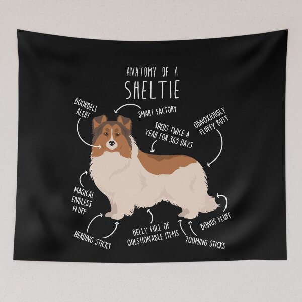 Item preview, Color Headed White Sheltie Shetland Sheepdog Anatomy designed and sold by Clara Hollins.