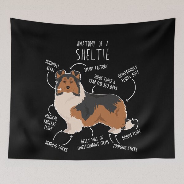 Item preview, Sheltie Shetland Sheepdog Anatomy designed and sold by Clara Hollins.