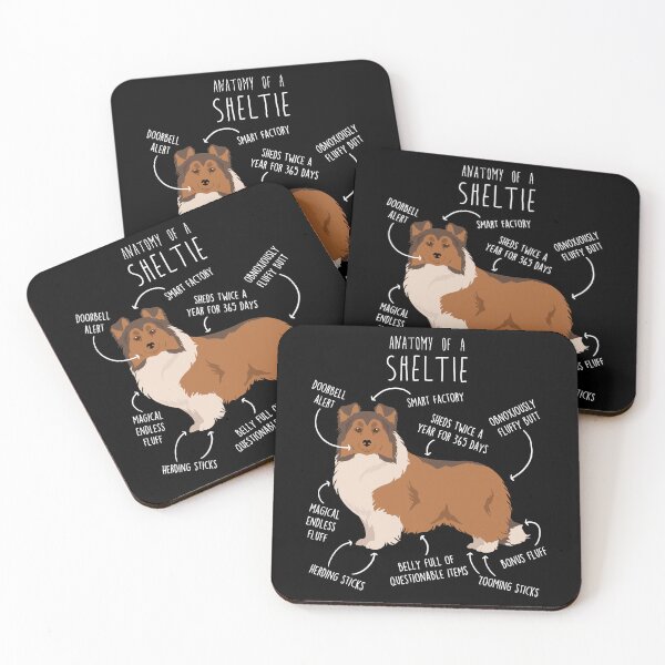 Item preview, Sheltie Shetland Sheepdog Anatomy designed and sold by Clara Hollins.