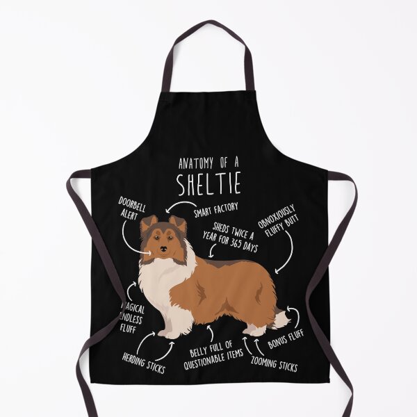 Item preview, Sheltie Shetland Sheepdog Anatomy designed and sold by Clara Hollins.