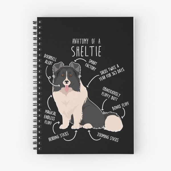 Item preview, Bi Black Sheltie Shetland Sheepdog Anatomy designed and sold by Clara Hollins.
