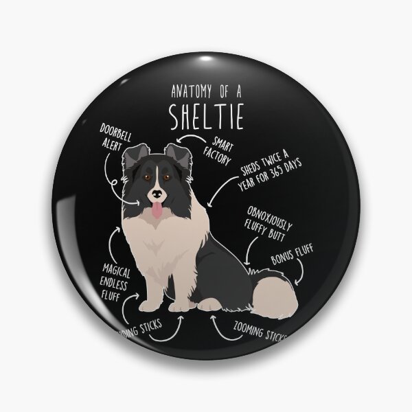 Item preview, Bi Black Sheltie Shetland Sheepdog Anatomy designed and sold by Clara Hollins.