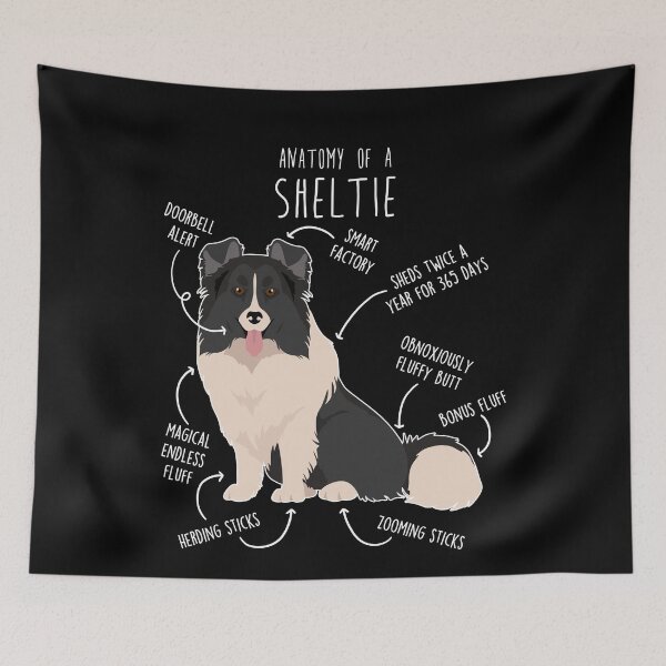 Item preview, Bi Black Sheltie Shetland Sheepdog Anatomy designed and sold by Clara Hollins.