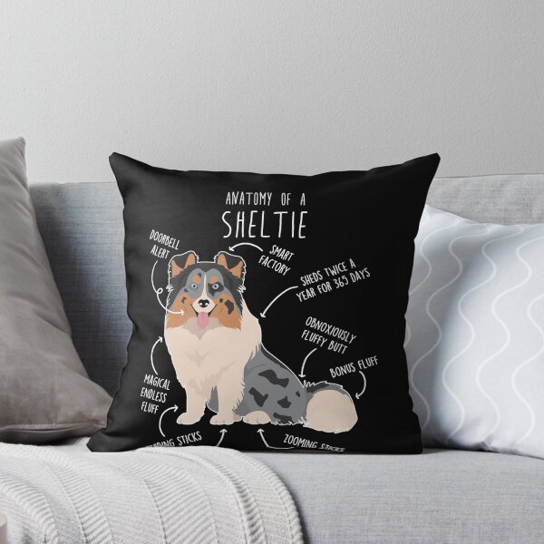 Item preview, Blue Merle Sheltie Shetland Sheepdog Anatomy designed and sold by Clara Hollins.