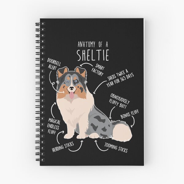 Item preview, Blue Merle Sheltie Shetland Sheepdog Anatomy designed and sold by Clara Hollins.