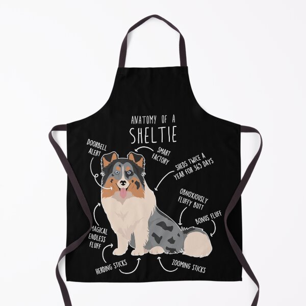 Item preview, Blue Merle Sheltie Shetland Sheepdog Anatomy designed and sold by Clara Hollins.