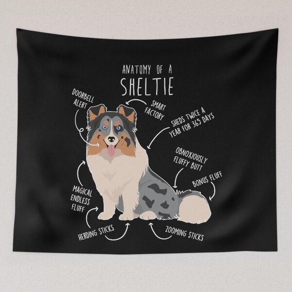 Item preview, Blue Merle Sheltie Shetland Sheepdog Anatomy designed and sold by Clara Hollins.