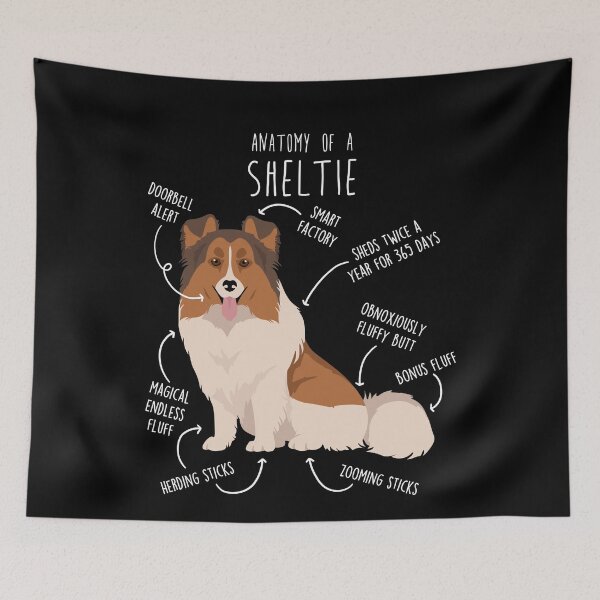 Item preview, Color Headed White Sheltie Shetland Sheepdog Anatomy designed and sold by Clara Hollins.